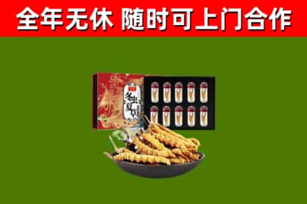 马关县回收冬虫夏草价格